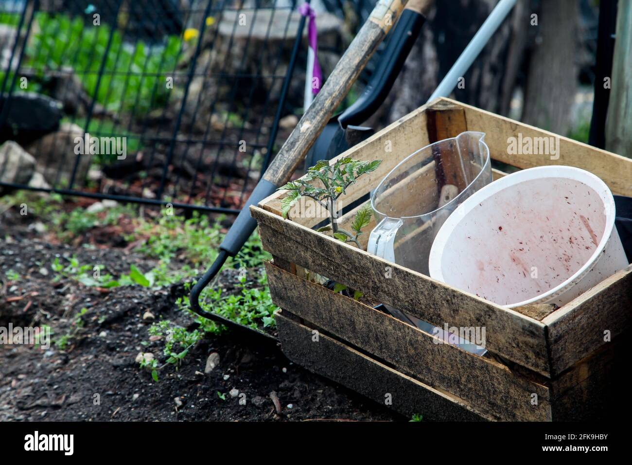 Attrezzi da giardinaggio con scatola di legno all'esterno in giardino Foto Stock
