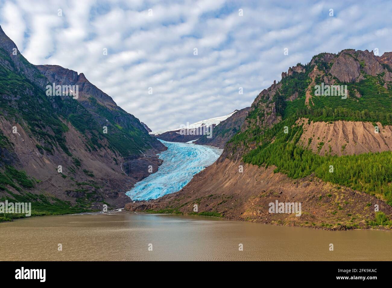 Bear Glacier e Strohne Lake negli Stati Uniti d'America tra Hyder in Alaska e Stewart in British Columbia, Canada, Kenai Fjords. Foto Stock