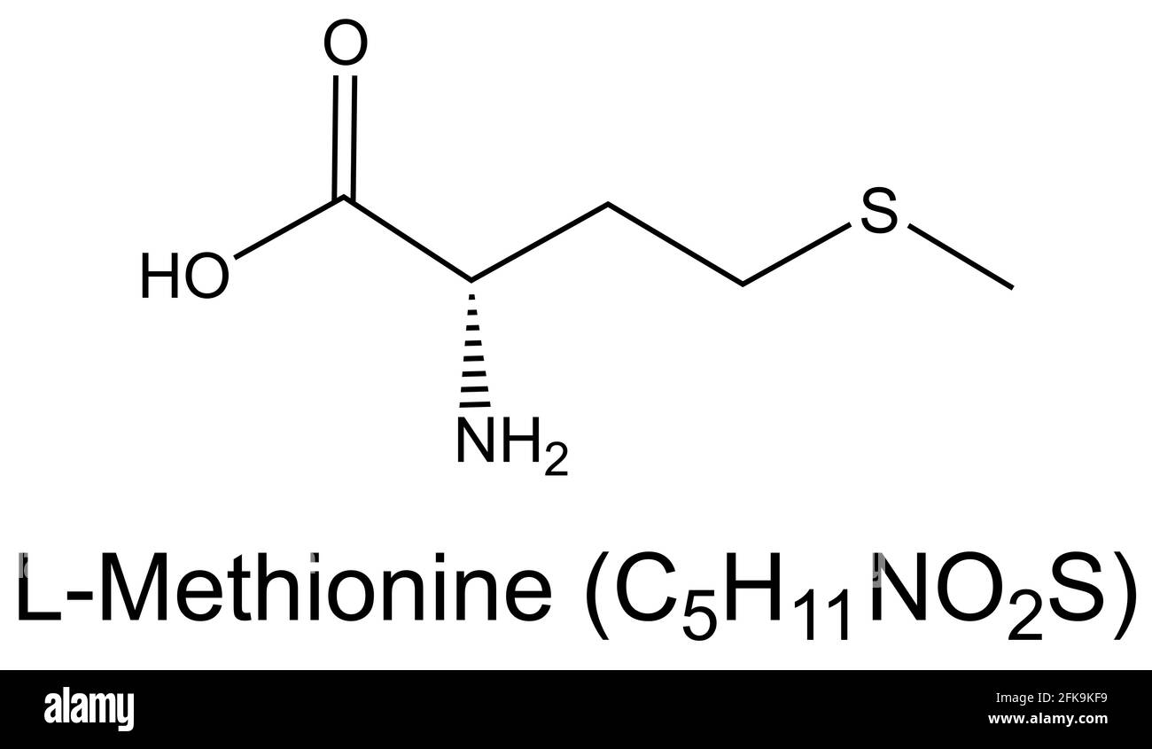 Formula chimica della molecola di L-metionina amminoacido Foto Stock