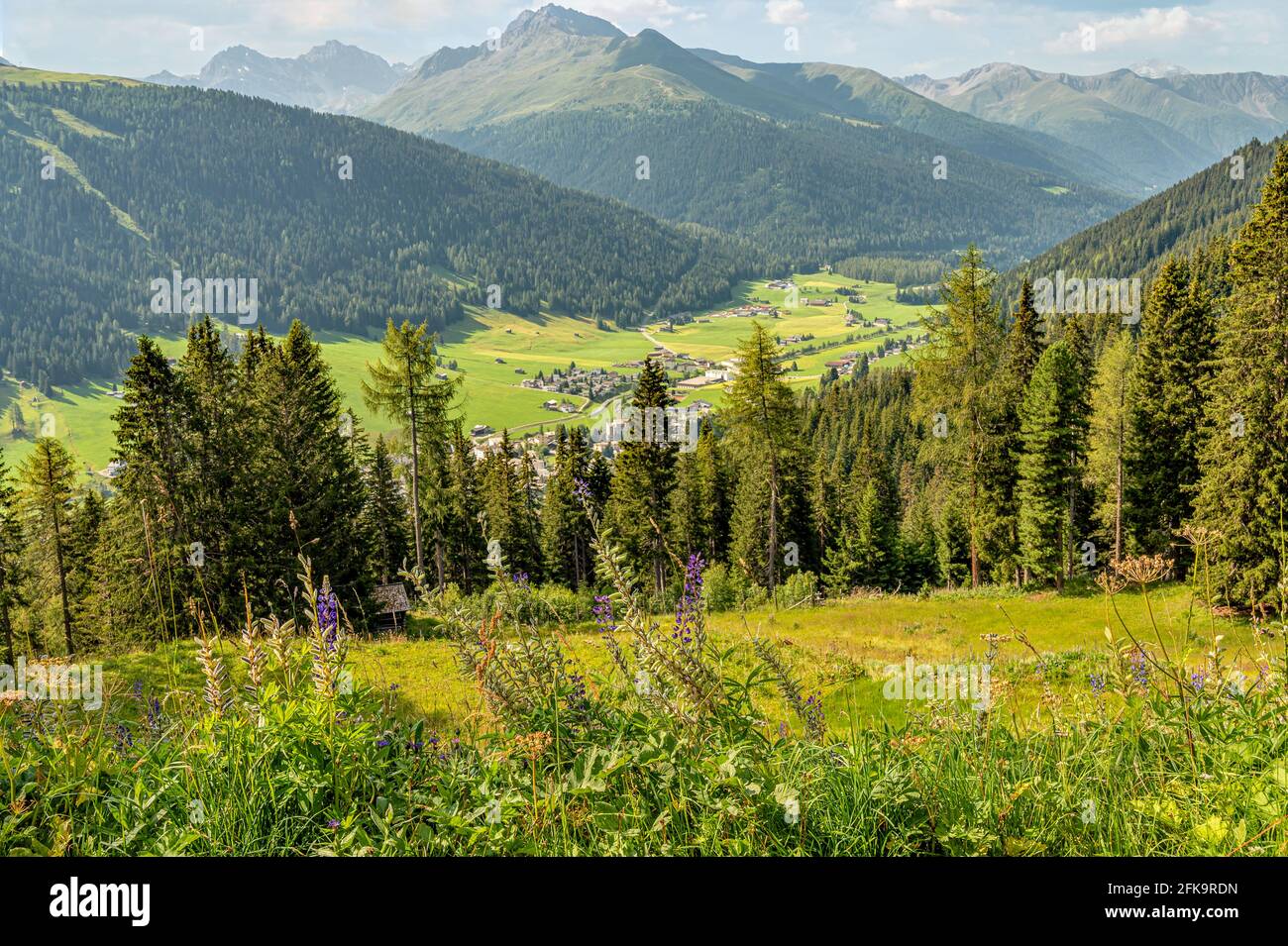 Vista dalla Schatzalp Davos in estate, Graubünden, Svizzera Foto Stock