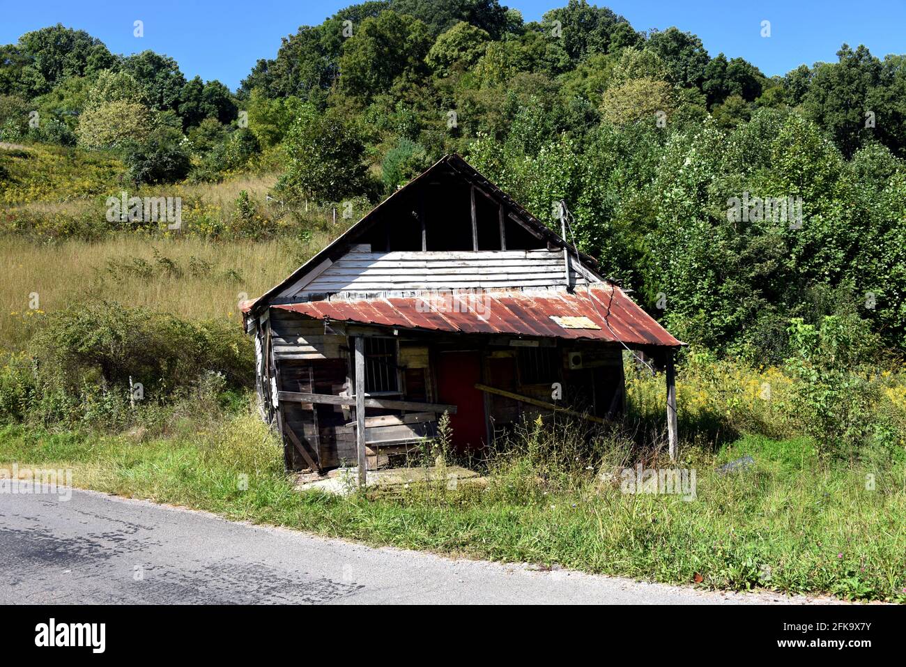 Il vecchio negozio di campagna è chiuso per affari. È surcresciuto e derelict. Si trova sul bordo di una strada secondaria in Tennessee. Foto Stock