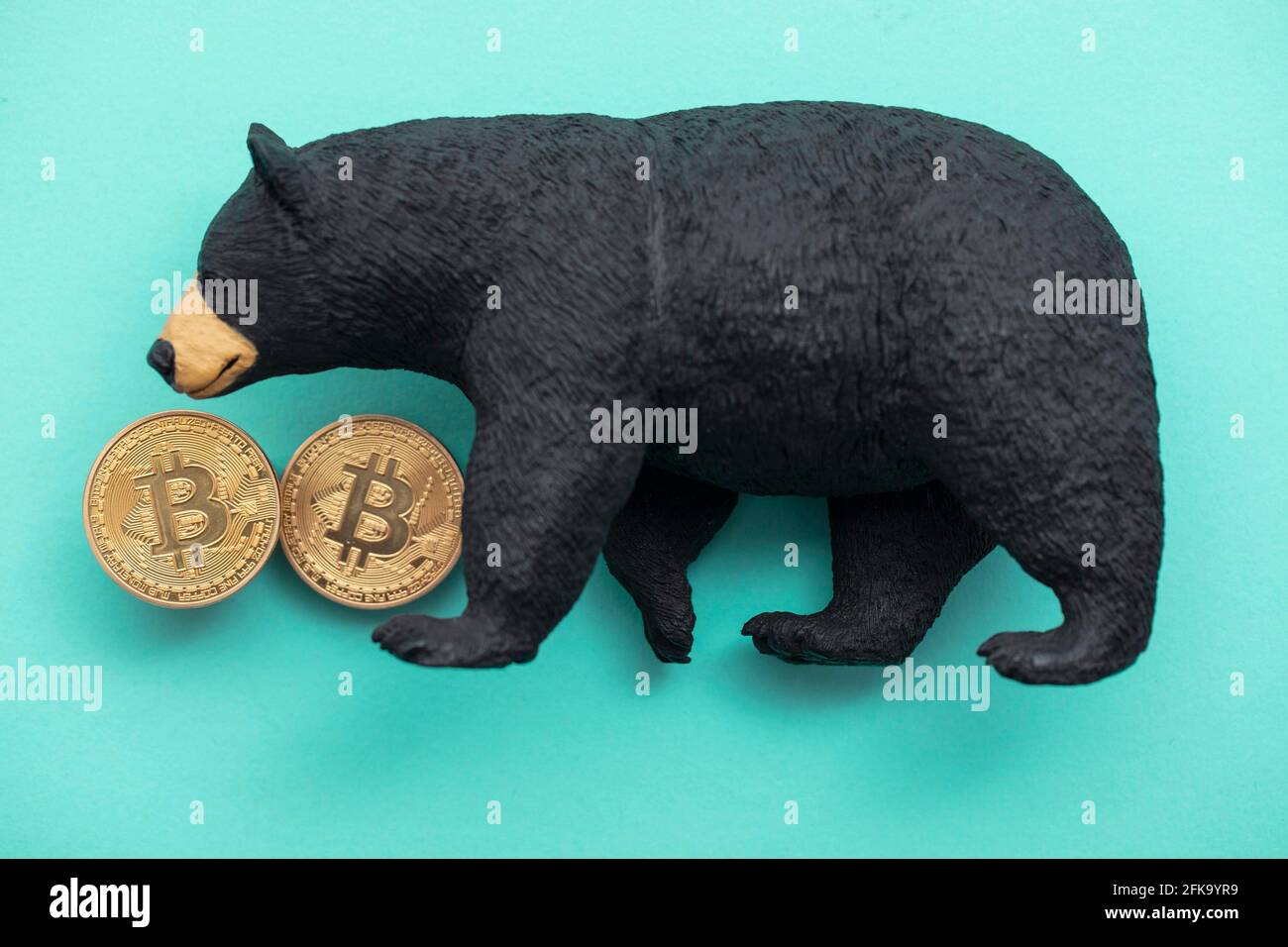 Moneta criptovaluta Bitcoin con un orso grizzly. Bitcoin bearish che commercia Foto Stock