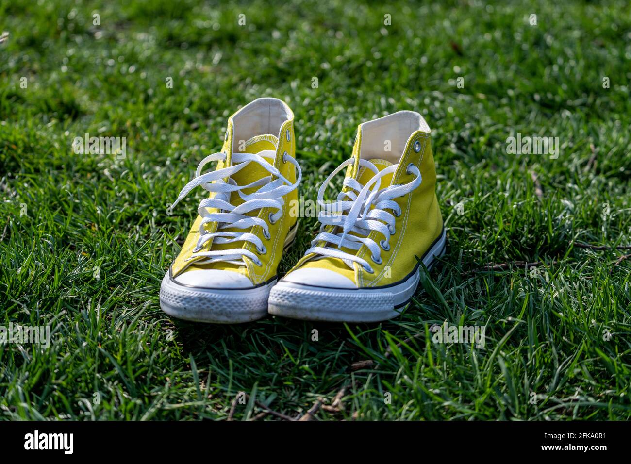 Sneakers All-Star di Yellow Chuck Taylor Converse su erba verde in molla Foto Stock