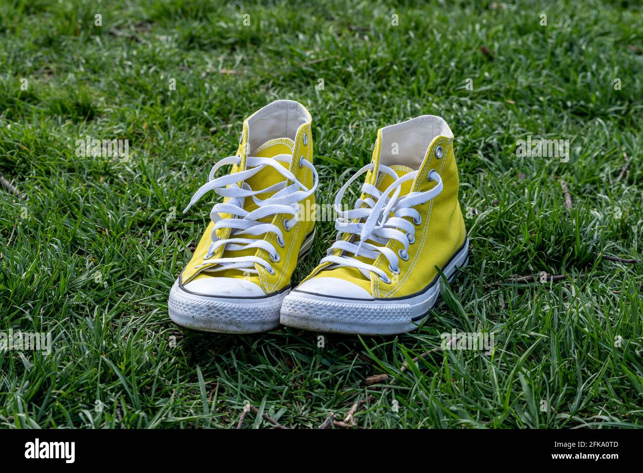 Sneakers All-Star di Yellow Chuck Taylor Converse su erba verde in molla Foto Stock
