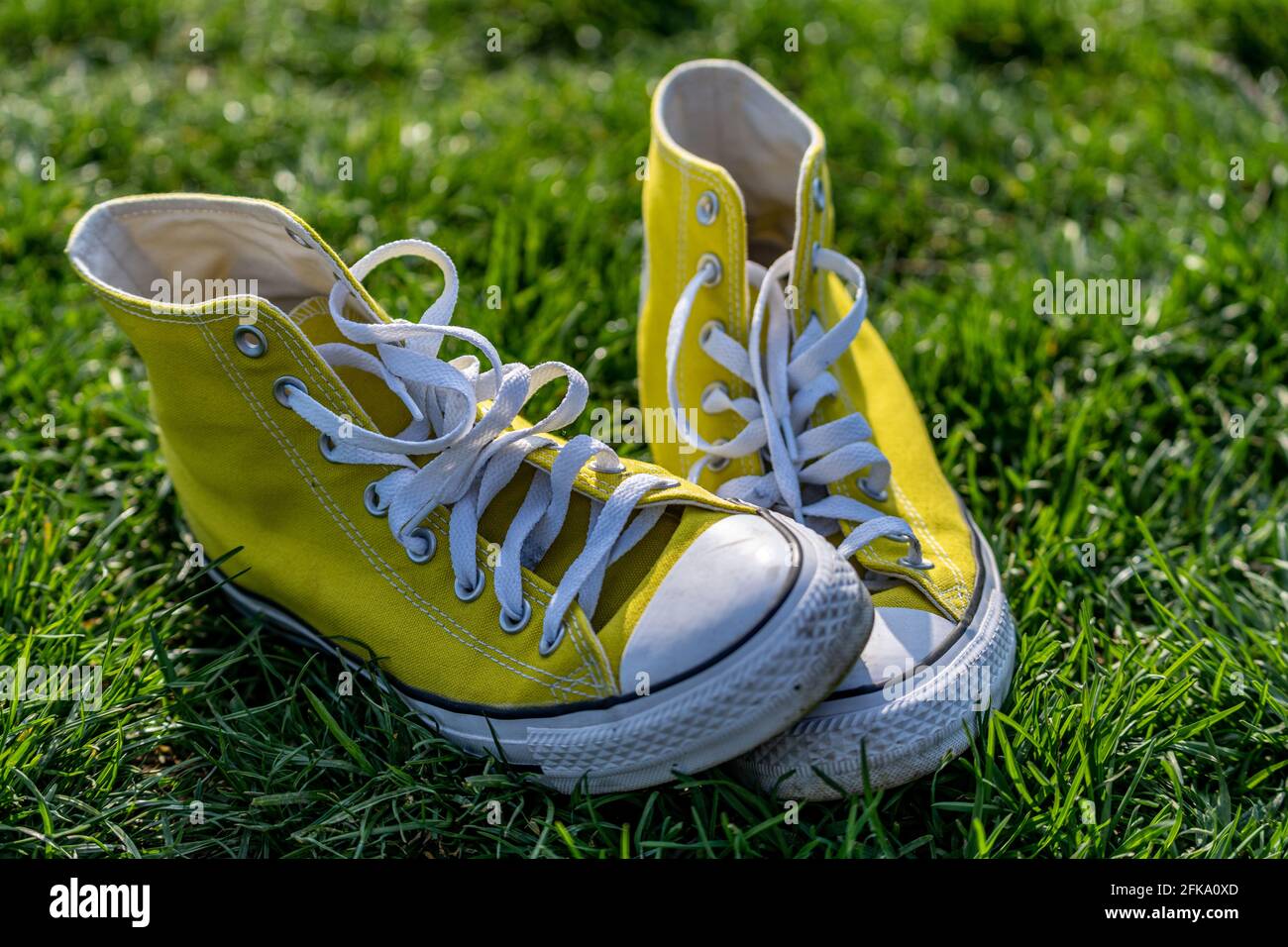 Sneakers All-Star di Yellow Chuck Taylor Converse su erba verde in molla Foto Stock