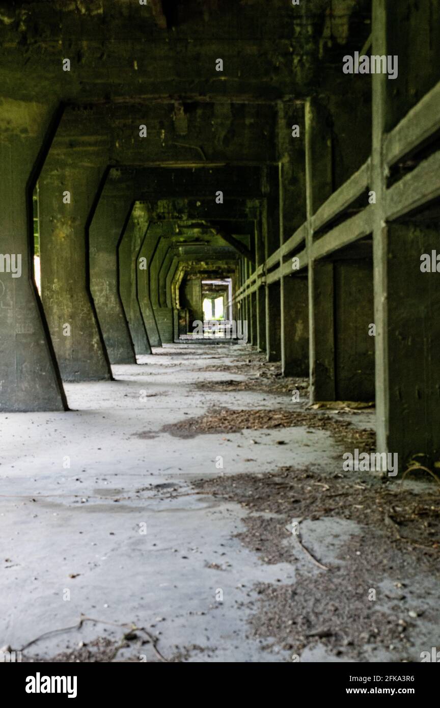 abbandonata fabbrica il suo interno e ciò che rimane di esso Foto Stock