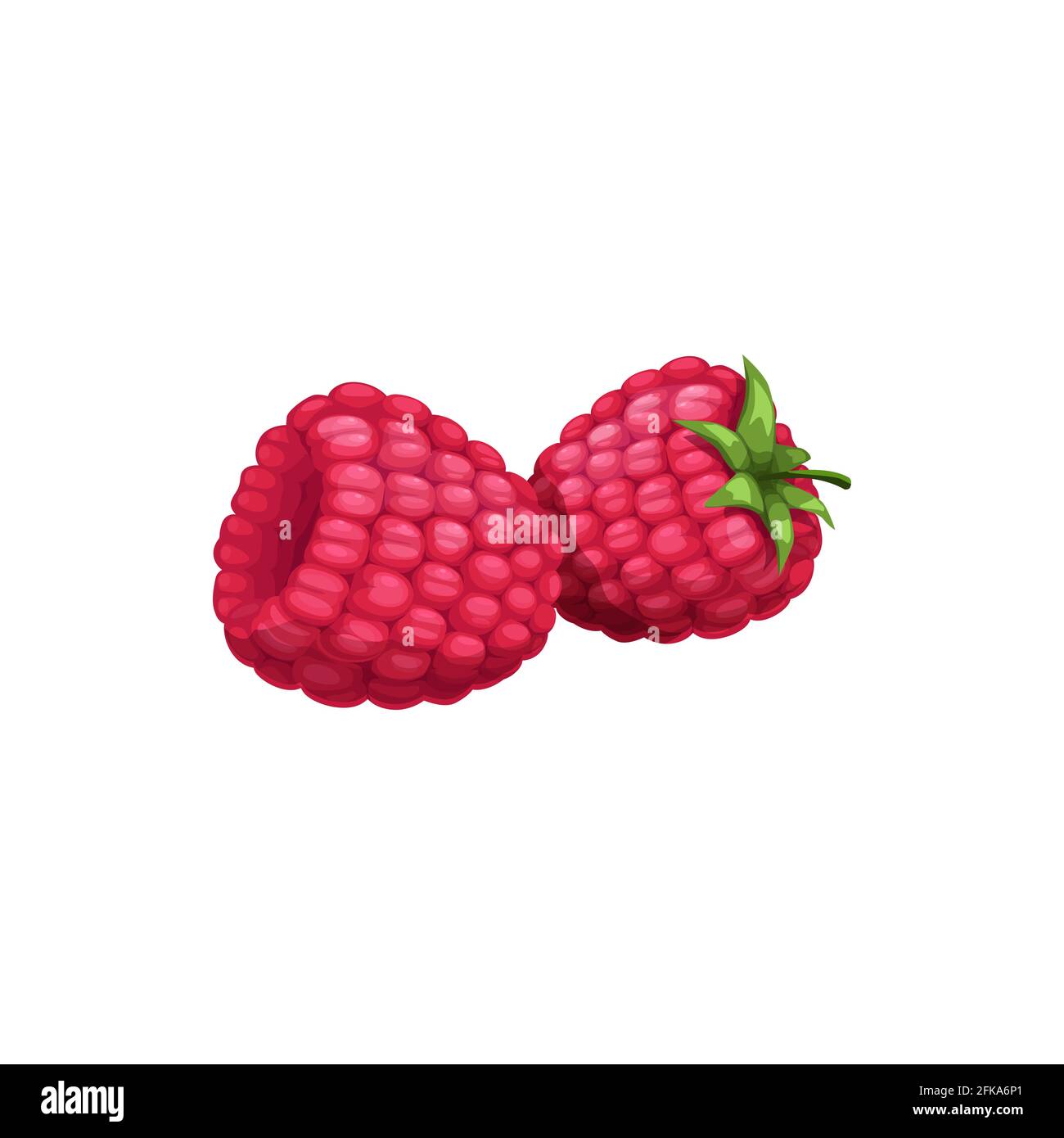 Raspberry vettore isolato bacche selvatiche o da giardino con gambo verde su sfondo bianco. Cartone animato fresco razz, cibo sano, naturale produzione di materie prime biologiche Illustrazione Vettoriale