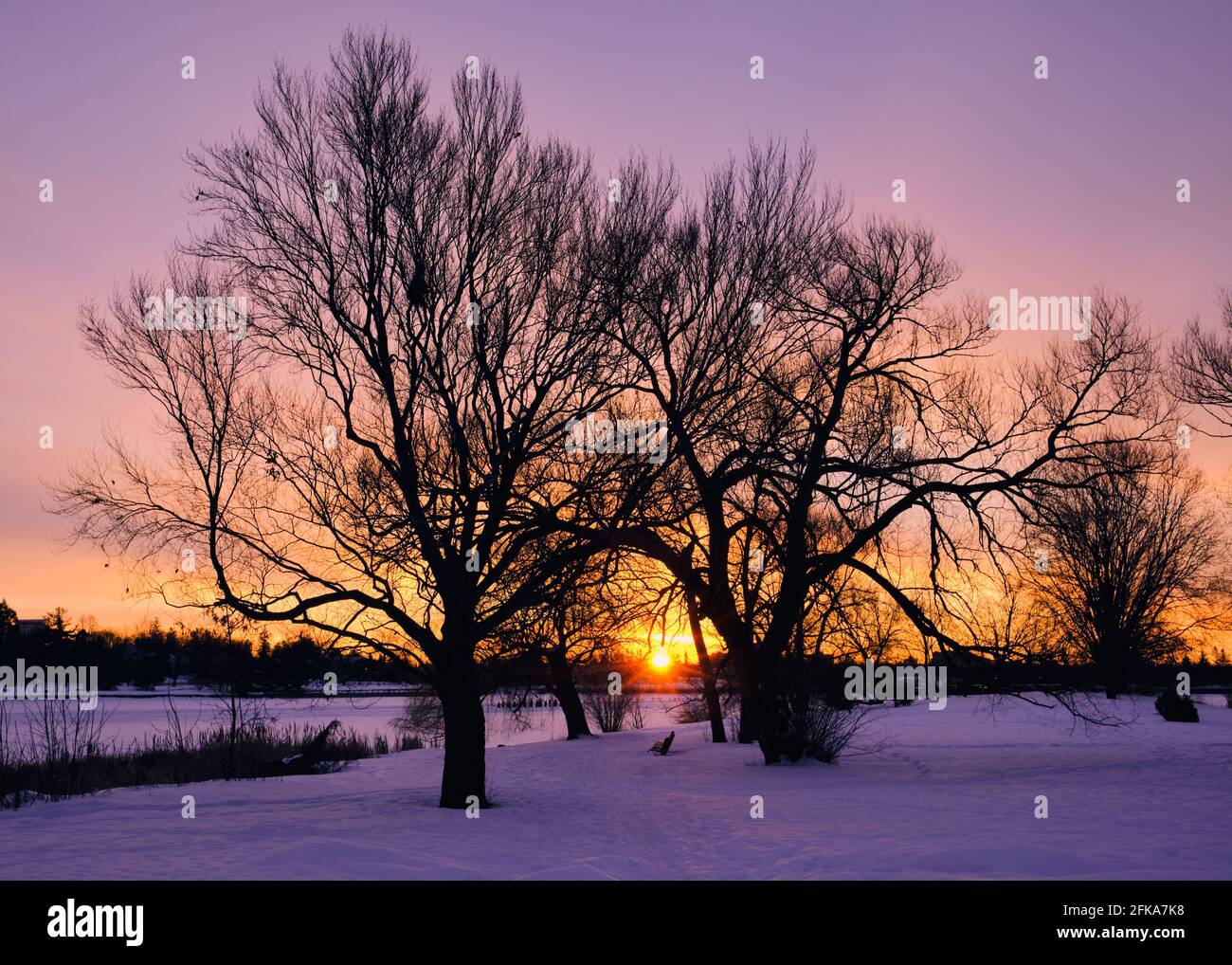 Alba invernale sul canale rideau di Ottawa Foto Stock