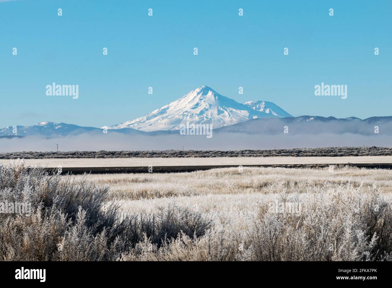 Monte Shasta visto dal Bacino di Klamath in una gelida mattina d'inverno. Foto Stock