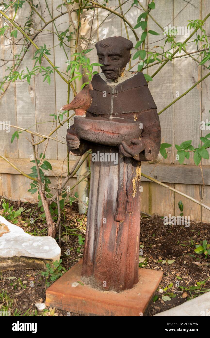 Una statua di San Francesco d'Asisi in giardino con bagno d'uccello accanto a viti e recinzione in legno. Foto Stock