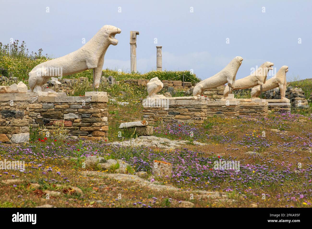 Statue leoni sull'isola di Delo con fiori di primavera, arcipelago delle Cicladi, Grecia Foto Stock