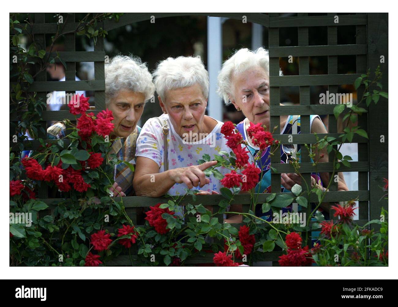 SPETTACOLO DI FIORI DI HAMPTON COURT PALACE tre delle migliaia di visitatori esaminano una delle molte mostre di giardini all'esposizione di fiori. Foto Stock