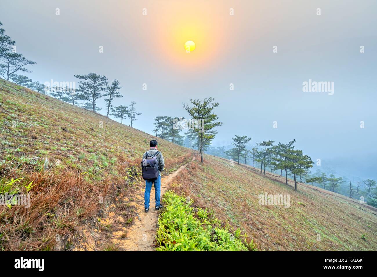 L'uomo viaggiatore si erge a guardare l'alba su una nebbiosa collina di pini del mattino sulla cima delle alture di da Lat, in Vietnam Foto Stock