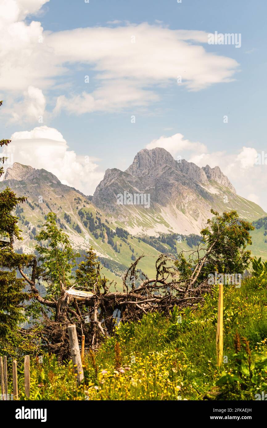 Vista sulle splendide Alpi svizzere, estate Foto Stock