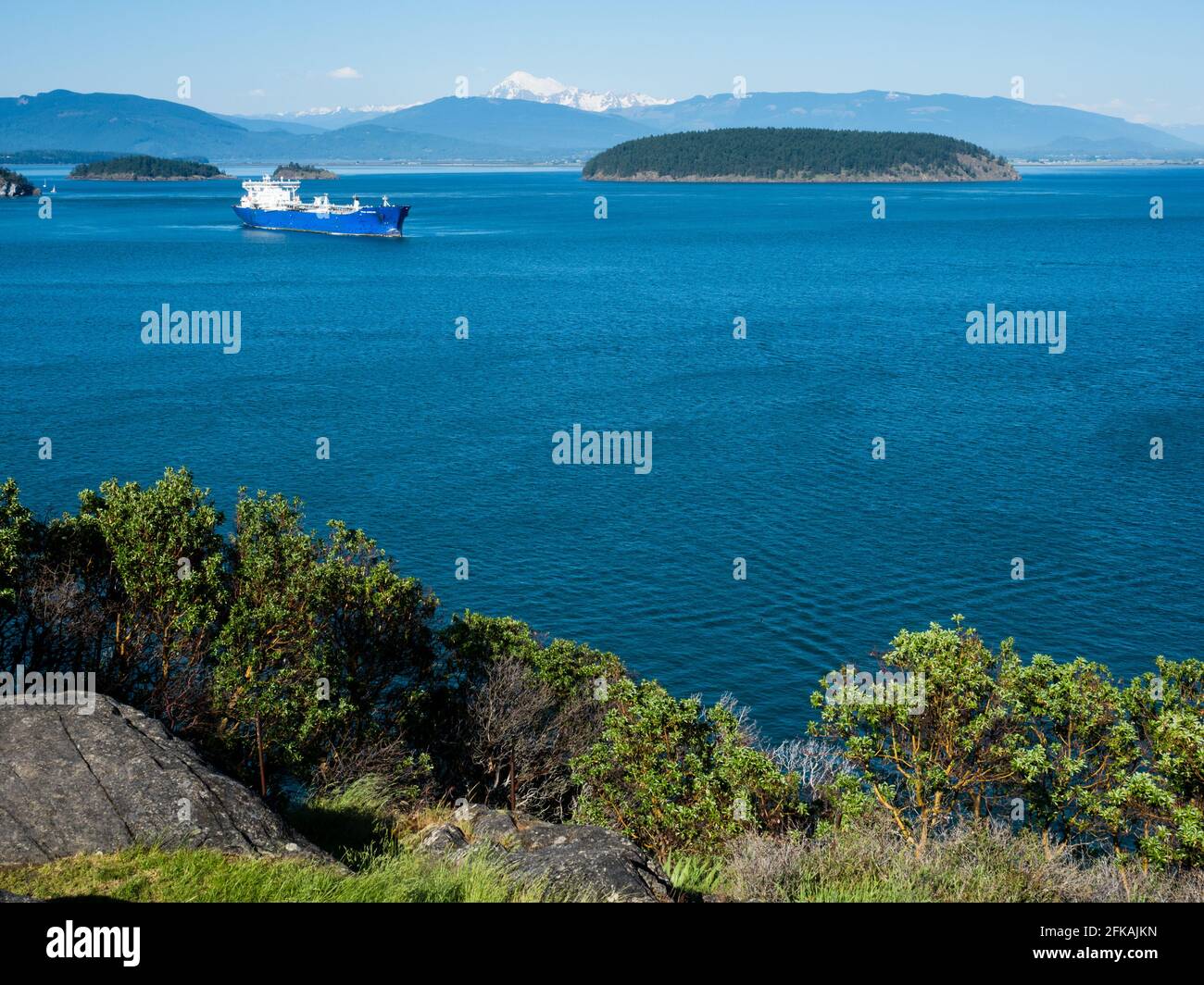 Vista di Fidalgo e della baia di Padilla con il Monte Baker sullo sfondo dal parco di Cap Sante ad Anacortes, WA Foto Stock