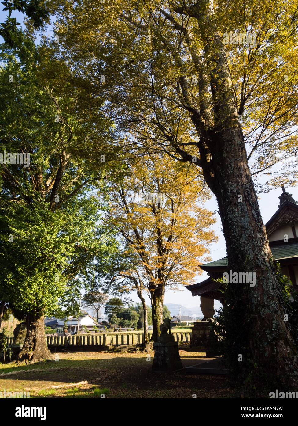 L'autunno parte nel santuario di Shimomiya all'interno della caldera vulcanica Aso, parte del Parco Nazionale Aso-Kuju - prefettura di Kumamoto, Giappone Foto Stock