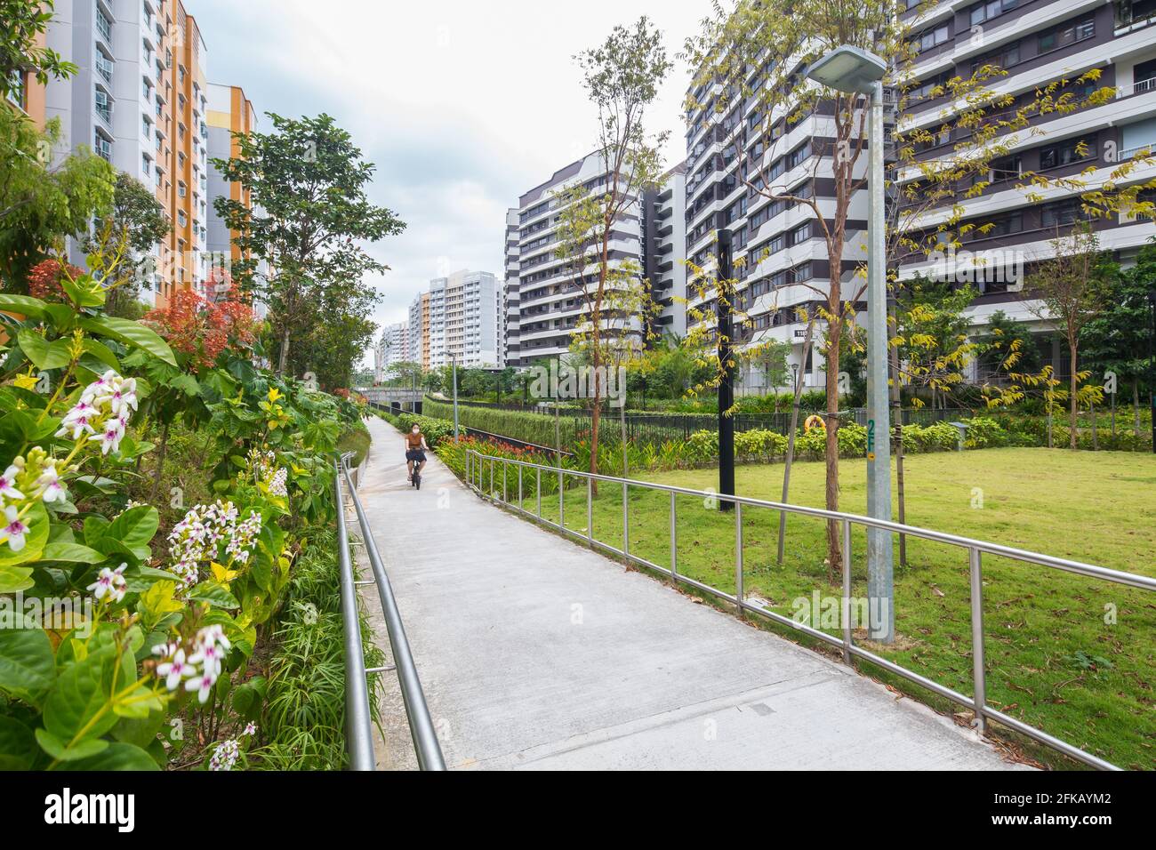 Una persona su uno scooter elettrico sta viaggiando sul marciapiede. Canale Sungei Simpang Kanan a Canberra, Sembawang, Singapore. Foto Stock