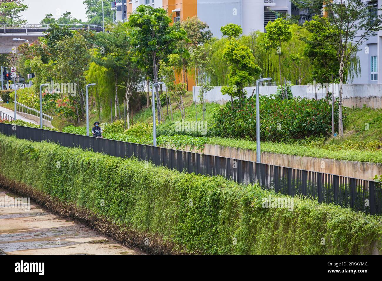 Parco di quartiere con incantevole vegetazione lussureggiante. Singapore. Foto Stock