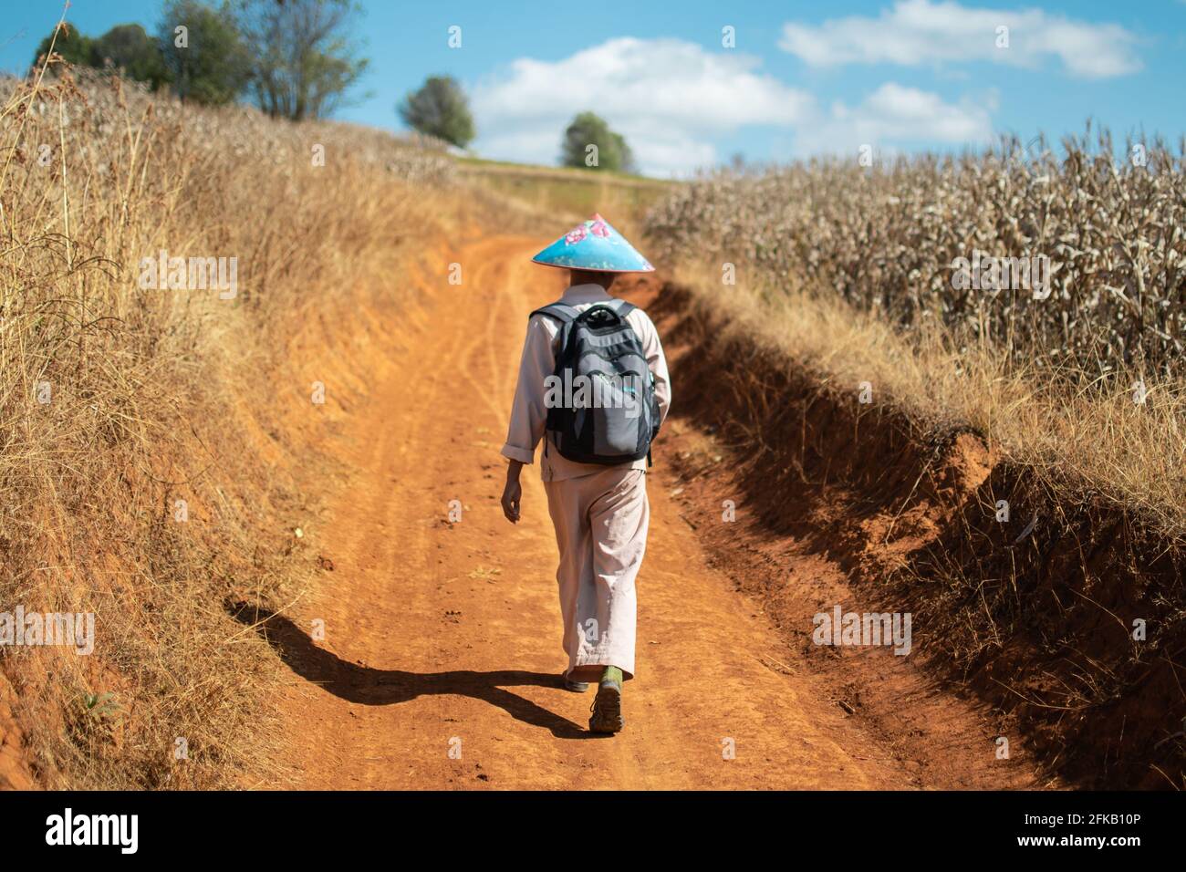 Un uomo birmano locale in un cappello blu e abbigliamento tradizionale passeggiate su una strada sterrata tra campi di mais in un'escursione tra Kalaw e Lago Inle, stato Shan, Foto Stock