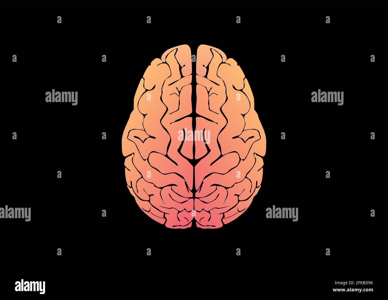 Illustrazione vettoriale della corteccia cerebrale umana su sfondo nero Illustrazione Vettoriale
