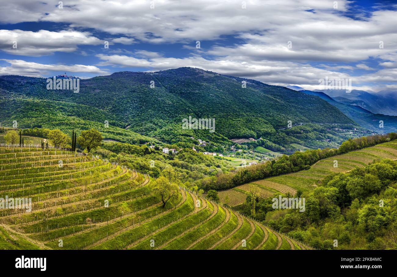 Vista su Sabotin da Goriska Brda in Slovenia. La montagna è divisa in due paesi. Slovenia e Italia. Foto Stock