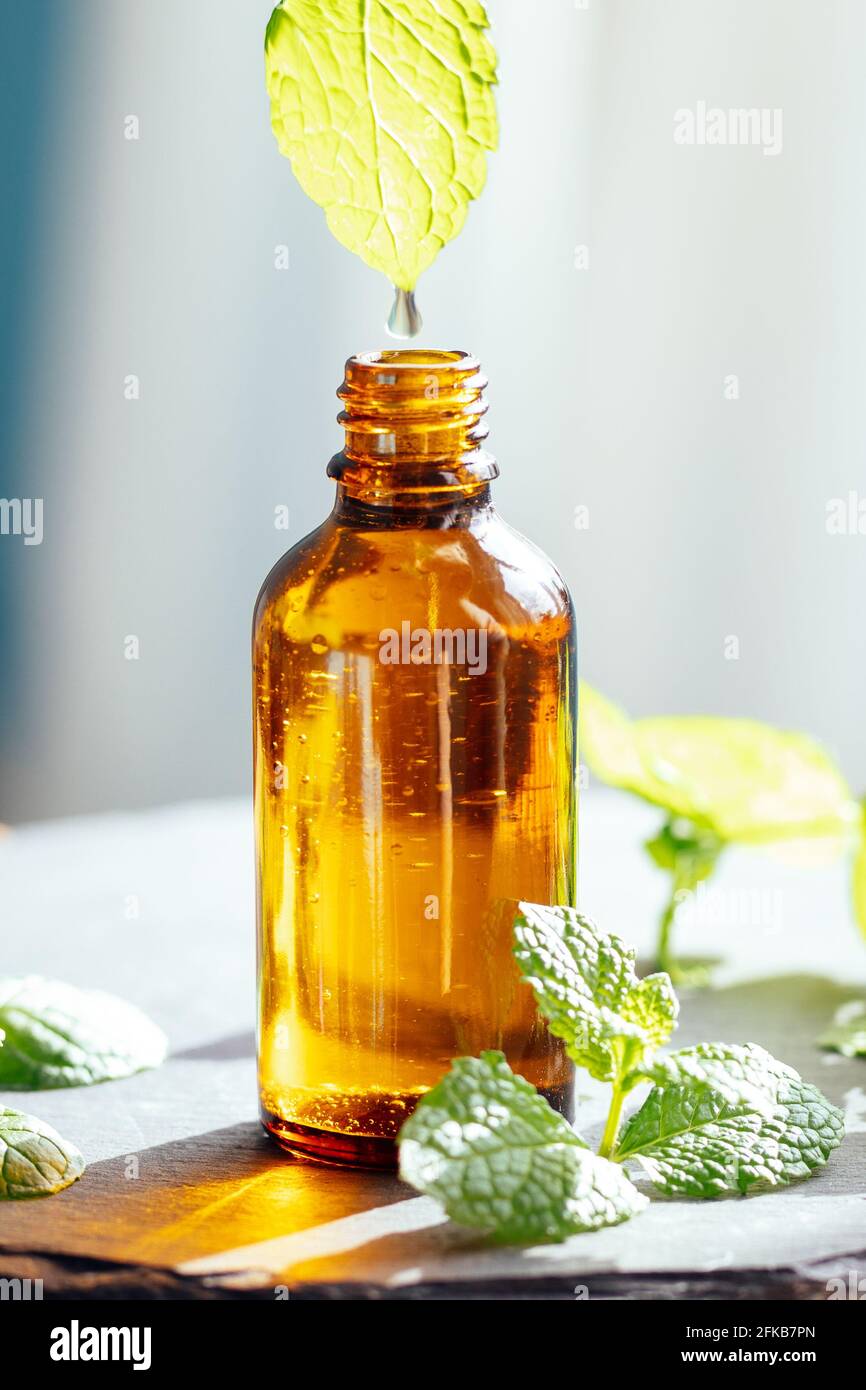 Gocciolina di olio essenziale di menta o menta piperita in una bottiglia di vetro, utilizzata come medicina alternativa nell'aromaterapia o diluita in un olio di supporto direttamente su Foto Stock
