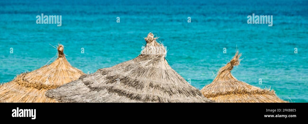 Ombrelloni da spiaggia, sfondo panoramico dell'oceano, banner web estivo tropicale Foto Stock