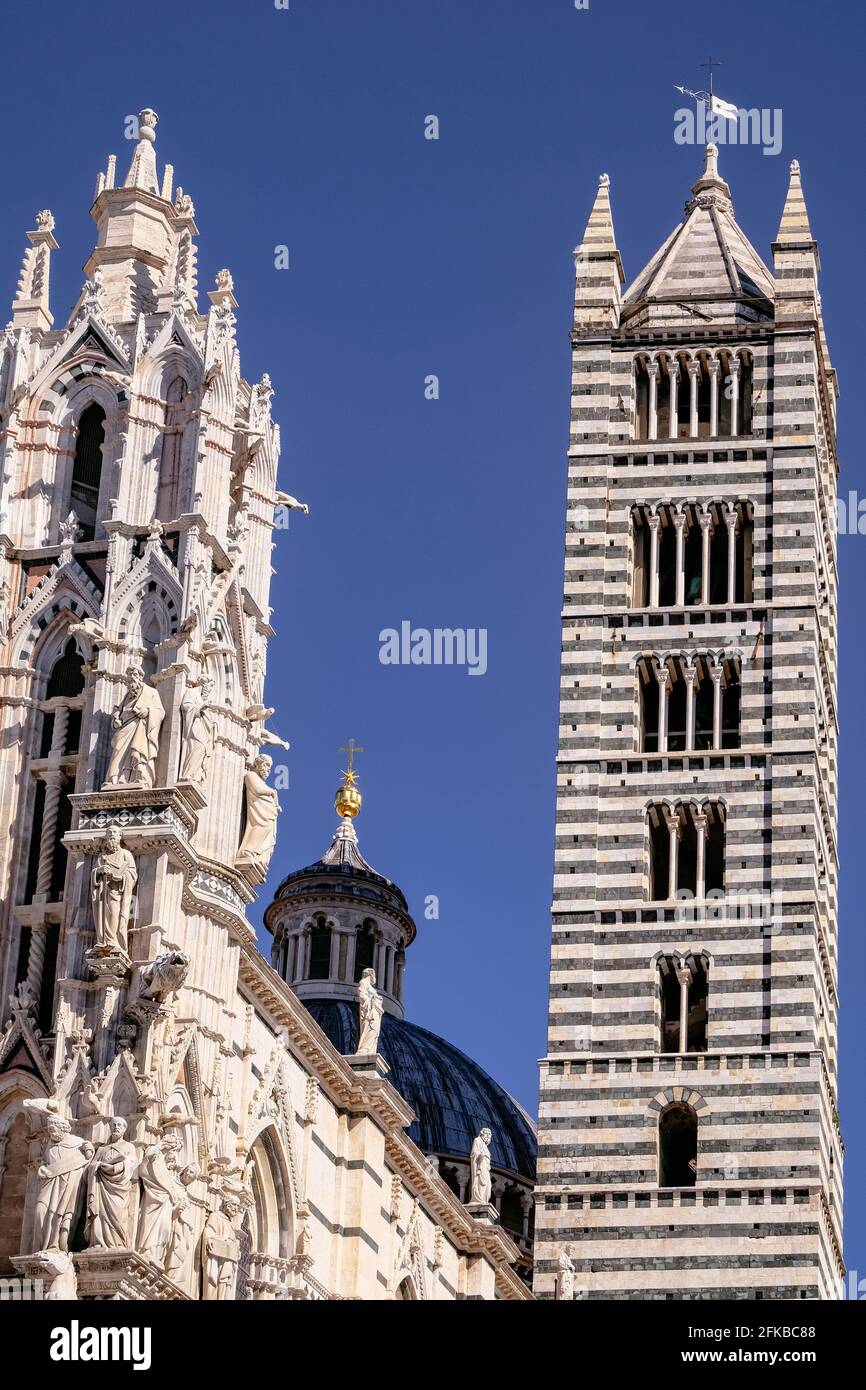 Duomo di Siena - bella chiesa gotica - Siena, Toscana, Italia Foto Stock