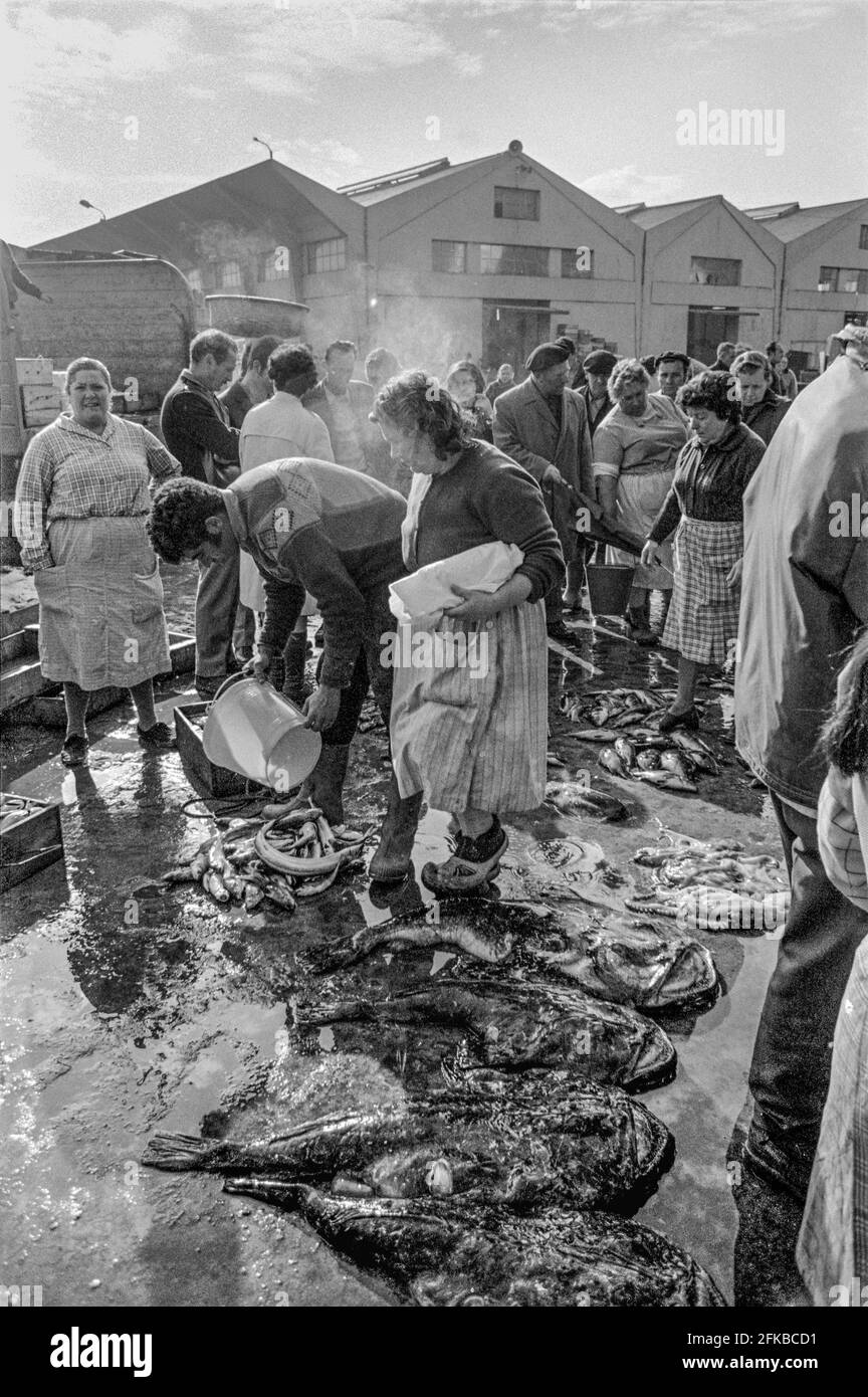 SPAGNA - Galizia - 1970. Il mercato del pesce nel porto DI A Coruña, Galizia, Spagna nord-occidentale. Foto Copyright: Peter Eastland. Foto Stock