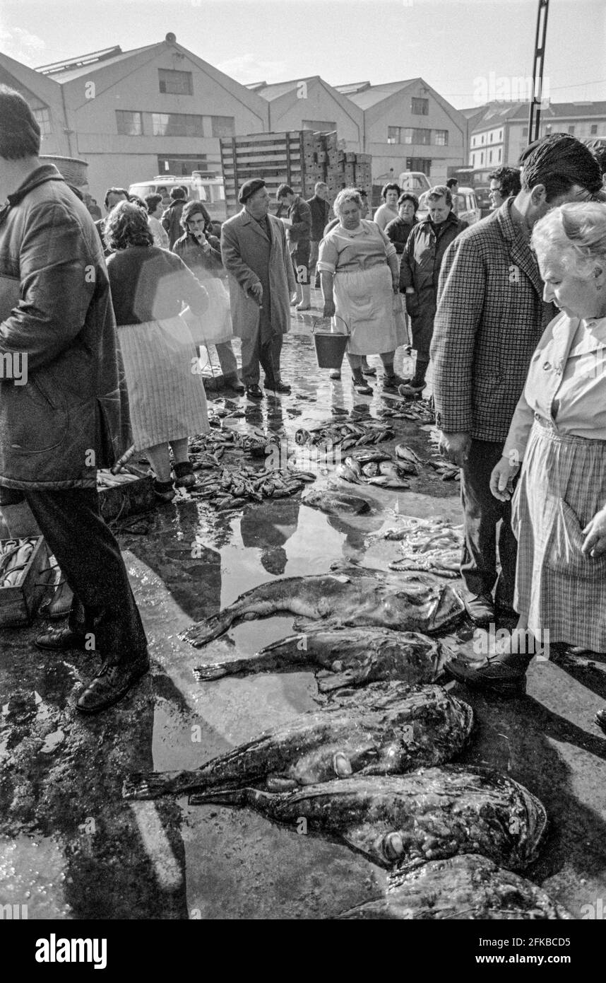SPAGNA - Galizia - 1970. Il mercato del pesce nel porto DI A Coruña, Galizia, Spagna nord-occidentale. Foto Copyright: Peter Eastland. Foto Stock