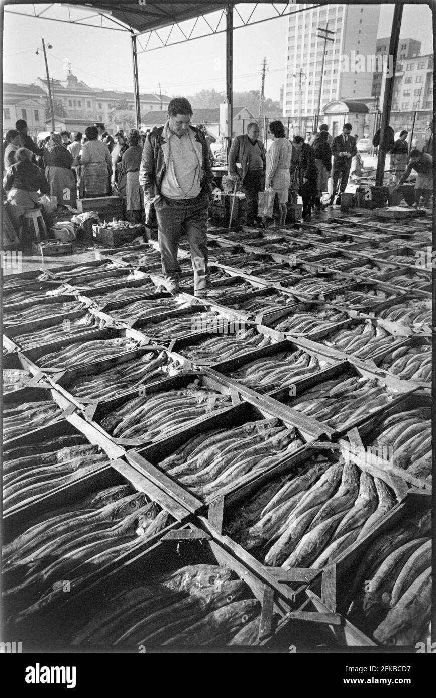 SPAGNA - Galizia - 1970. Scatole di pesce merluzzo fresco pescato nel mercato del pesce al porto DI A Coruña, Galizia, Spagna nord-occidentale. Foto Copyright: PET Foto Stock