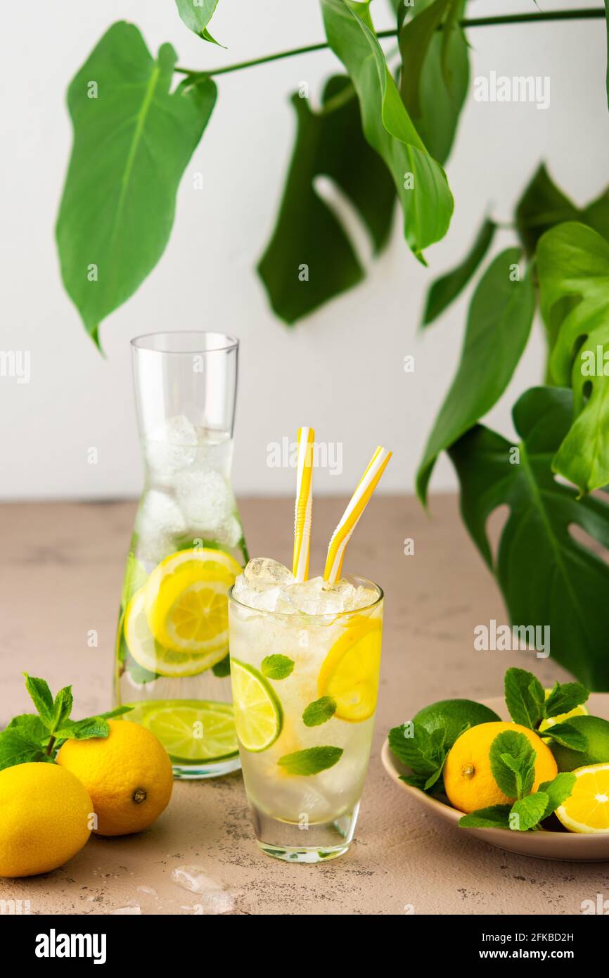 Limonata fresca e rinfrescante in un bicchiere con paglia, un bicchiere con spicchi di limone e lime tagliati a fette, foglie di menta e acqua fredda con ghiaccio Foto Stock