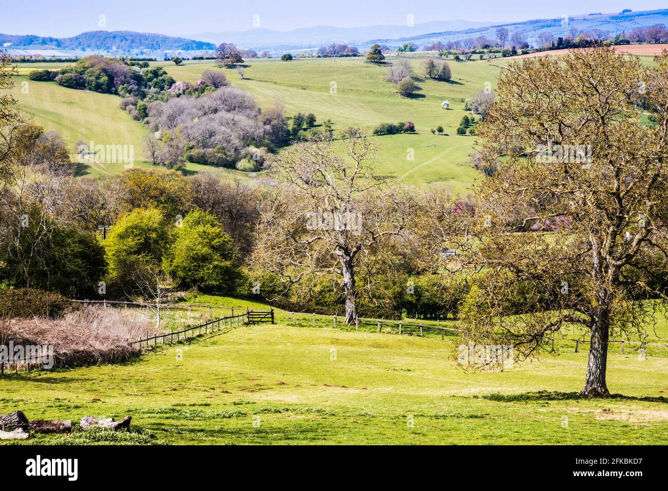 Vista primaverile sulla campagna ondulata del Worcestershire Cotswolds. Foto Stock