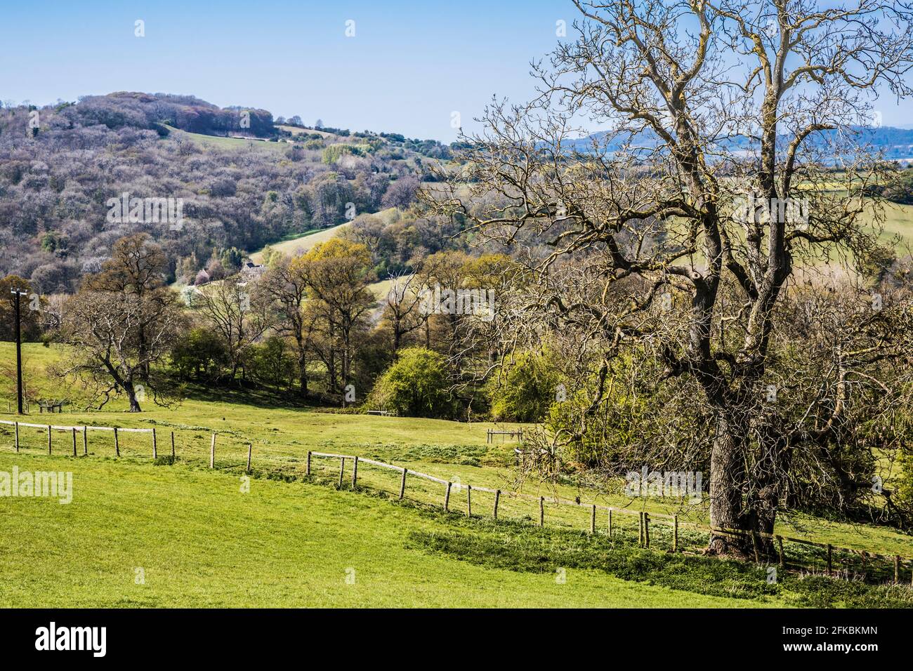 Vista primaverile sulla campagna ondulata del Worcestershire Cotswolds. Foto Stock