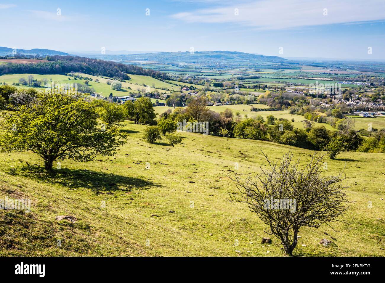 Vista primaverile sulla campagna ondulata del Worcestershire Cotswolds. Foto Stock