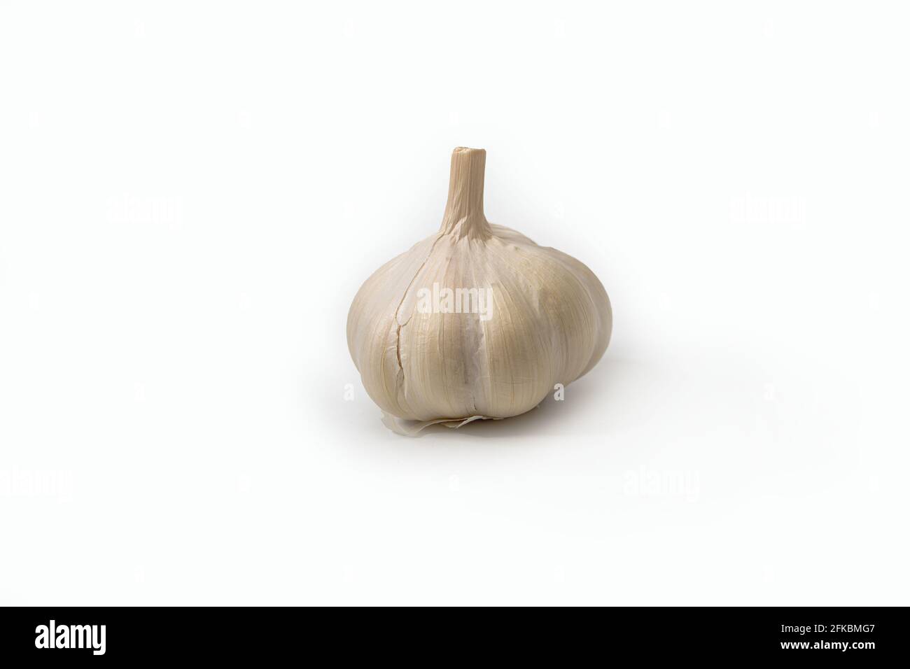 Spicchio d'aglio singolo su sfondo bianco Foto Stock