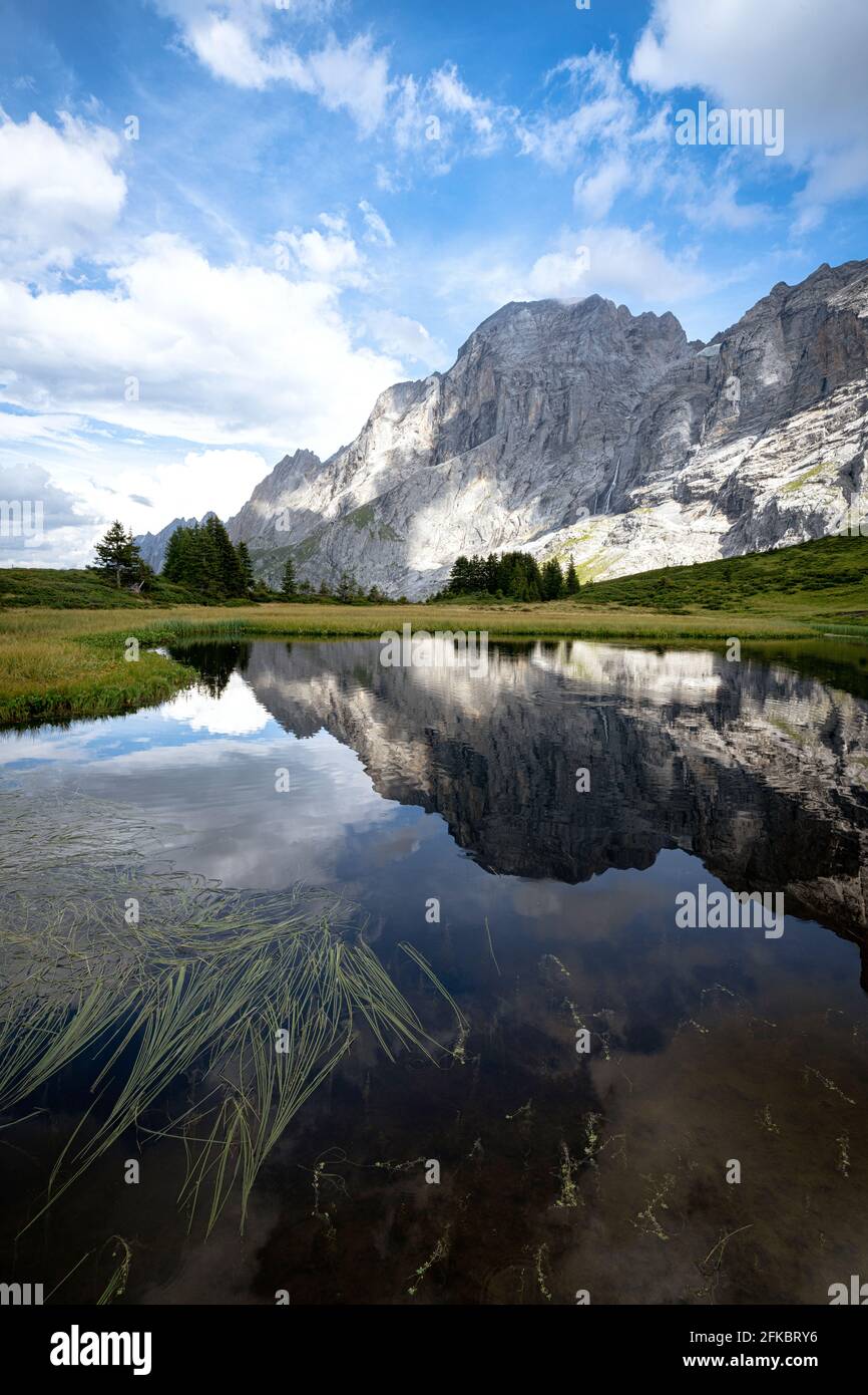 Picco roccioso del monte Wellhorn riflesso in acqua in estate, Passo Grosse Scheidegg, Alpi Bernesi, Canton Berna, Svizzera, Europa Foto Stock