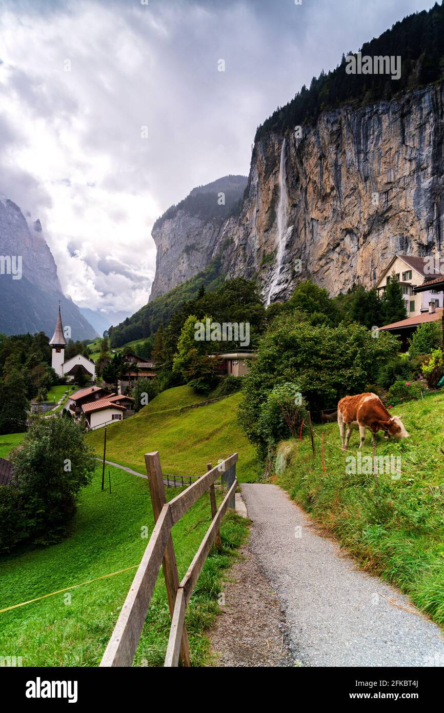 Percorso attraverso pascoli verdi che conducono al villaggio di Lauterbrunnen, Oberland Bernese, cantone di Berna, Svizzera, Europa Foto Stock