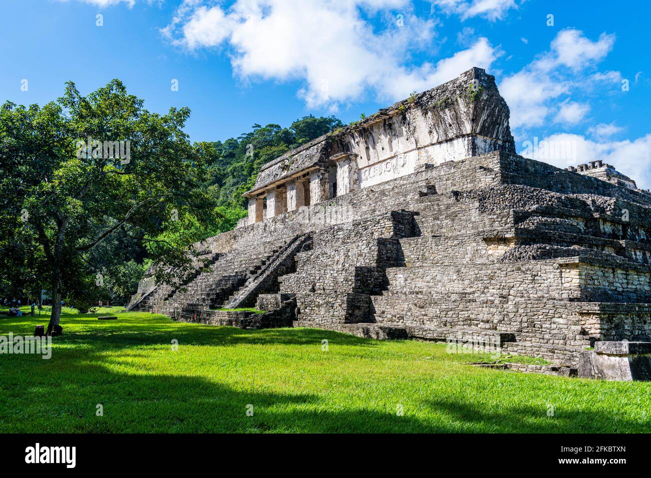 Le rovine Maya di Palenque, patrimonio dell'umanità dell'UNESCO, Chiapas, Messico, Nord America Foto Stock