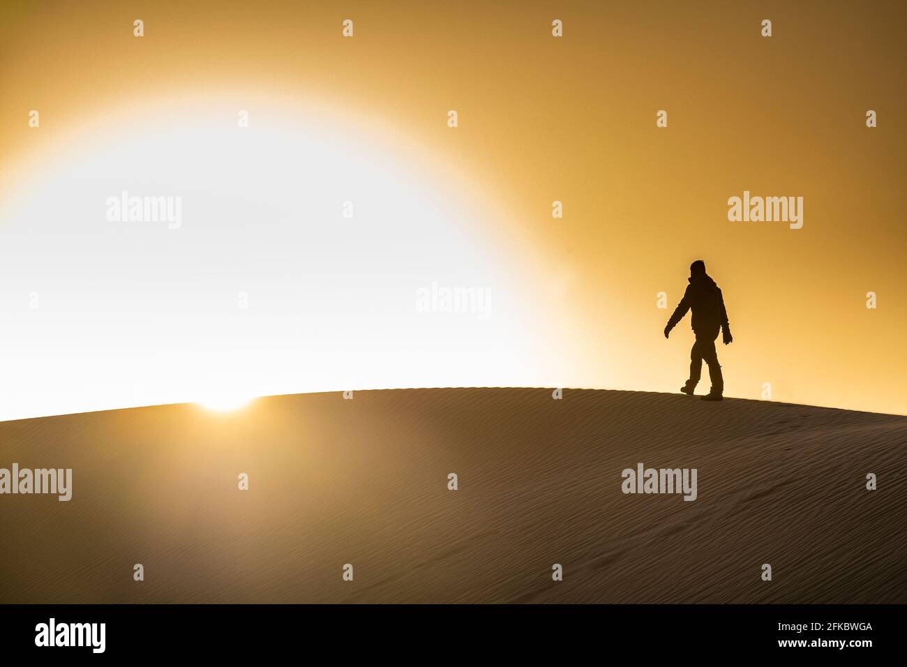 Uomo che cammina in controluce su una duna di sabbia, deserto di Tenere, Niger, Africa occidentale, Africa Foto Stock