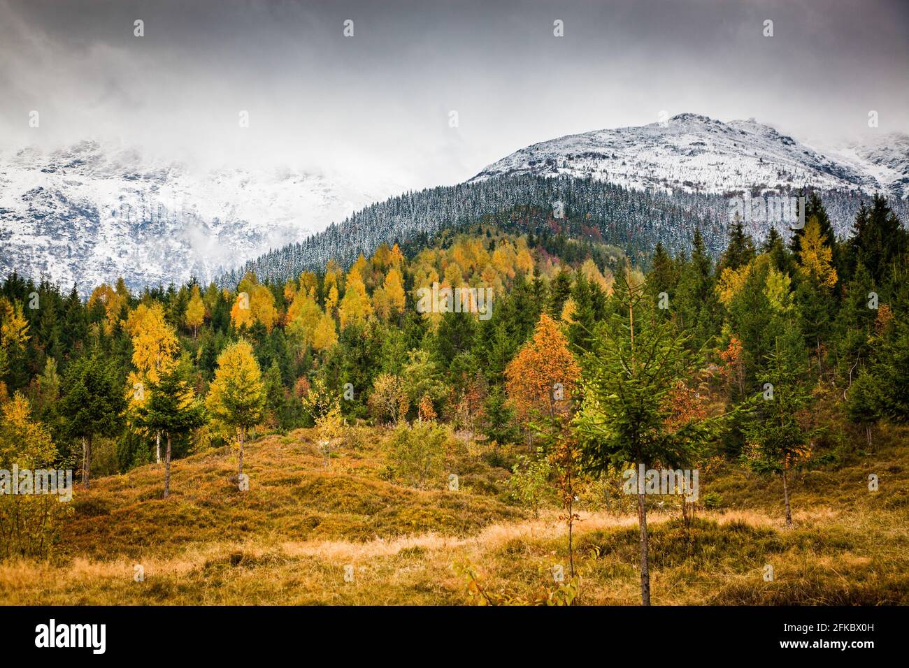 Montagne Rodnei all'inizio dell'inverno, Carpazi, Romania, Europa Foto Stock