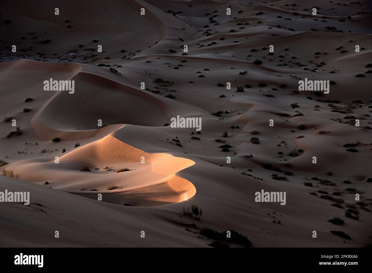 Dune di sabbia al tramonto nel deserto di Rub al Khali, Oman, Medio Oriente Foto Stock