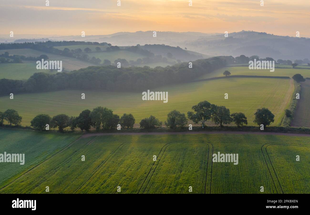 vista aerea dei terreni agricoli in estate, Devon, Inghilterra, Regno Unito, Europa Foto Stock