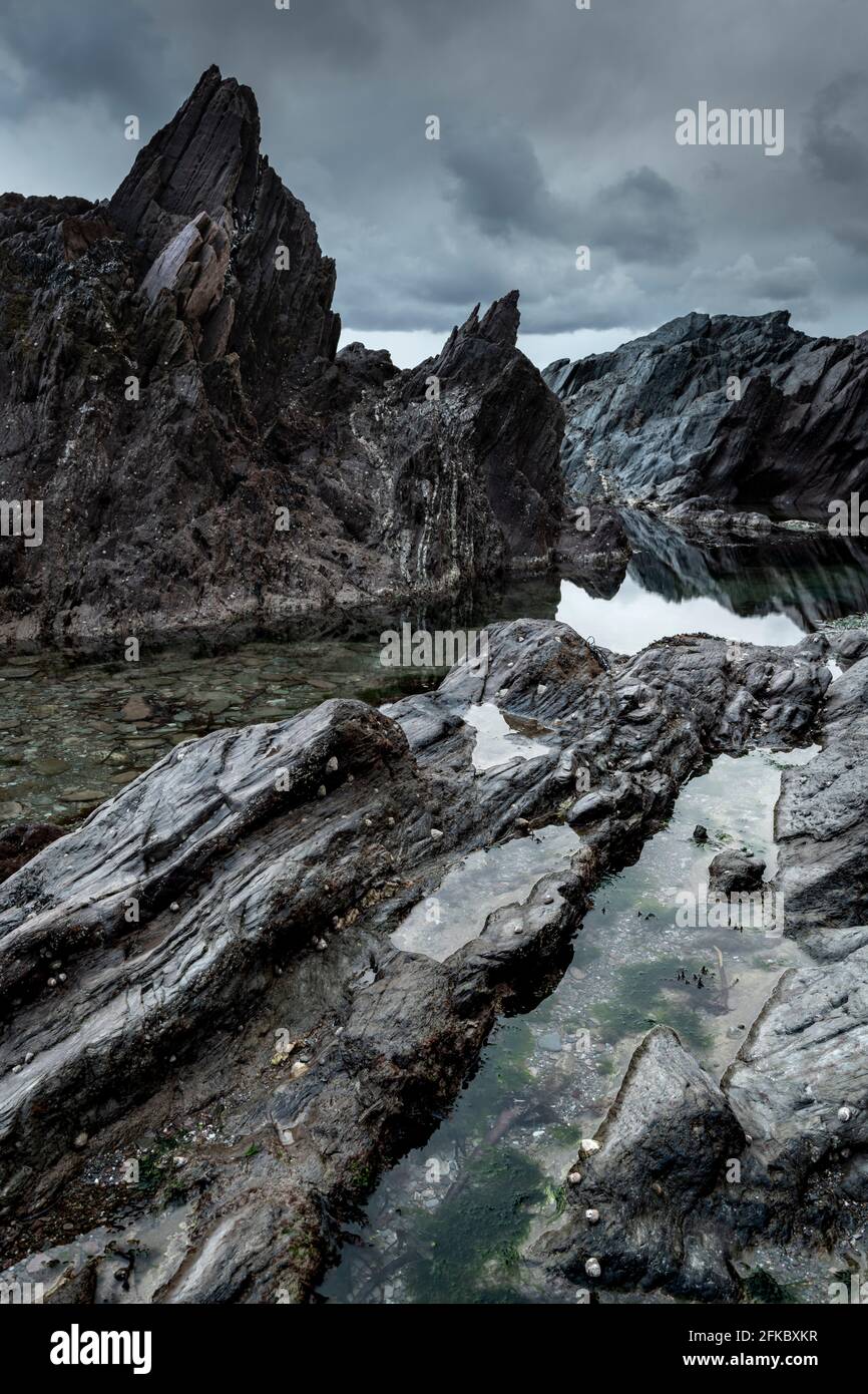 Rocky Shores of Ayrmer Cove nel South Hams, Devon, Inghilterra, Regno Unito, Europa Foto Stock