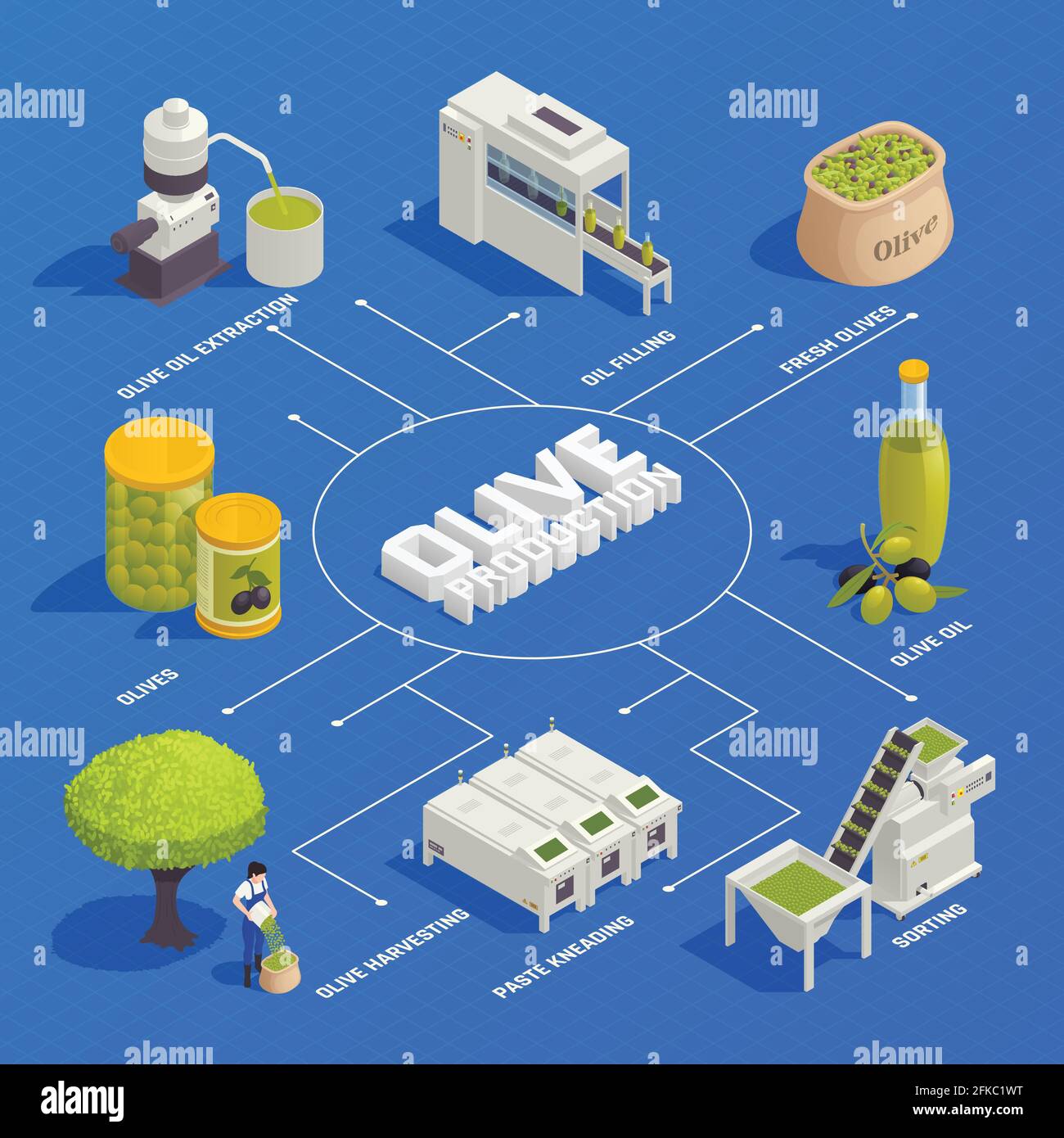 Produzione di olive diagramma di flusso isometrico con raccolta frutta selezione olio impastatore illustrazione vettoriale della linea di riempimento e confezionamento per estrazione Illustrazione Vettoriale