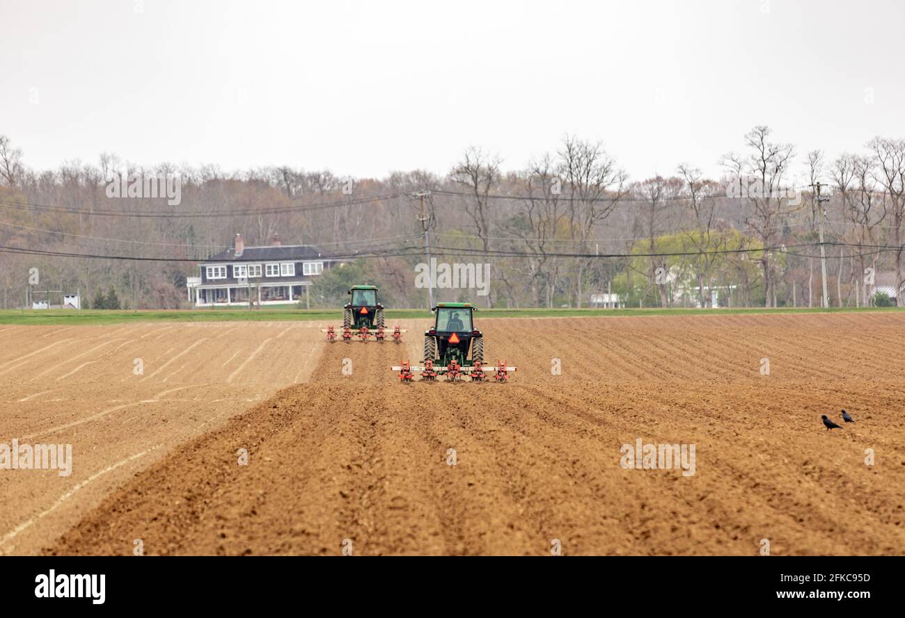 Coppia di trattori agricoli che arano un campo a Bridgehampton, NY Foto Stock