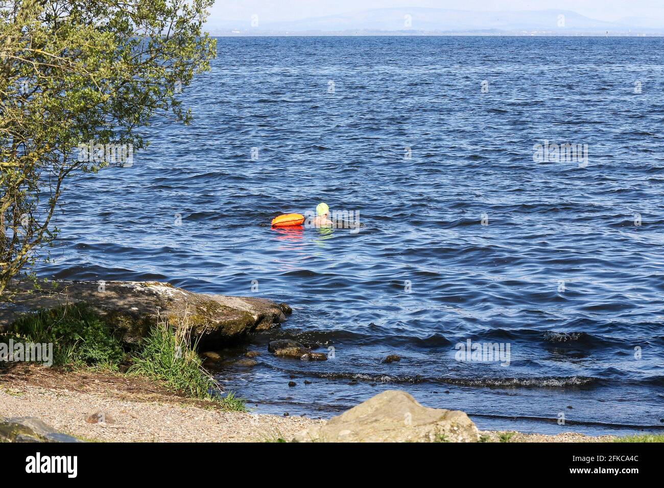 Oxford Island National Nature Reserve, Lough Neagh, County Armagh, Irlanda del Nord. 30 Apr 2021. Tempo nel Regno Unito – una giornata di sole ma fresca in una brezza settentrionale. Temperature per scendere di nuovo durante la notte. Un uomo adulto che nuota all'aperto in una soleggiata mattina di primavera con cielo blu nel più grande lago d'acqua dolce del Regno Unito. Credit: CAZIMB/Alamy Live News. Foto Stock