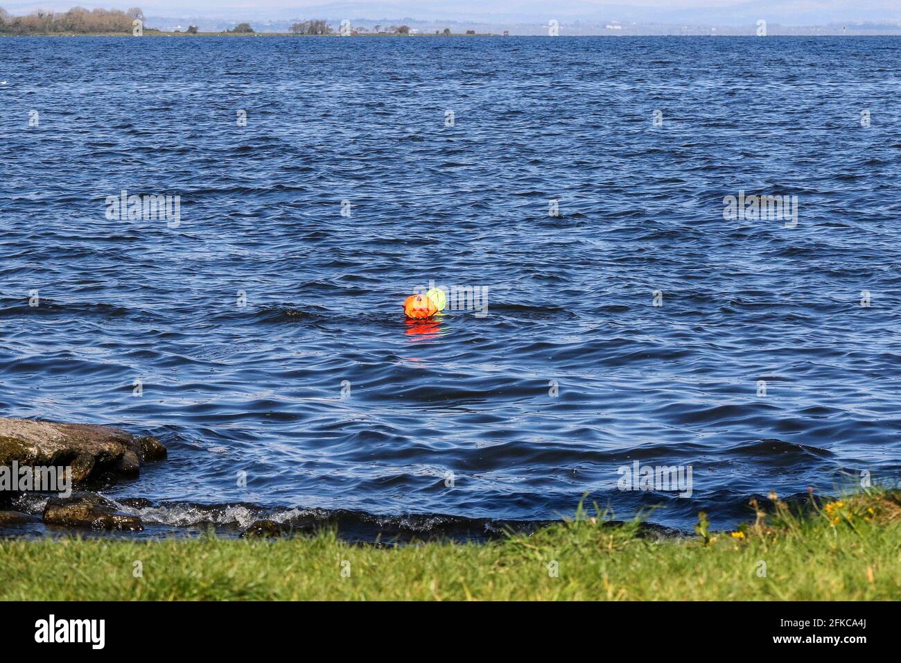 Oxford Island National Nature Reserve, Lough Neagh, County Armagh, Irlanda del Nord. 30 Apr 2021. Tempo nel Regno Unito – una giornata di sole ma fresca in una brezza settentrionale. Temperature per scendere di nuovo durante la notte. Un uomo adulto che nuota all'aperto in una soleggiata mattina di primavera con cielo blu nel più grande lago d'acqua dolce del Regno Unito. Credit: CAZIMB/Alamy Live News. Foto Stock