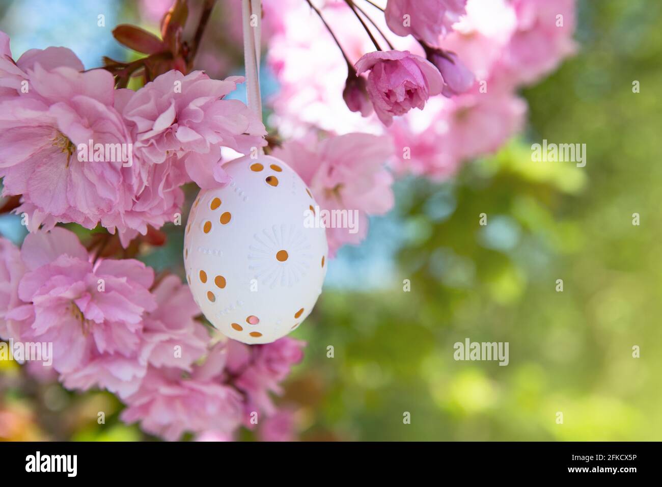 Uovo di Pasqua decorativo appeso su ciliegio fiorito con fiori rosa. Sfondo di Pasqua. Fiorisce in una soleggiata giornata primaverile. Messa a fuoco selettiva Foto Stock