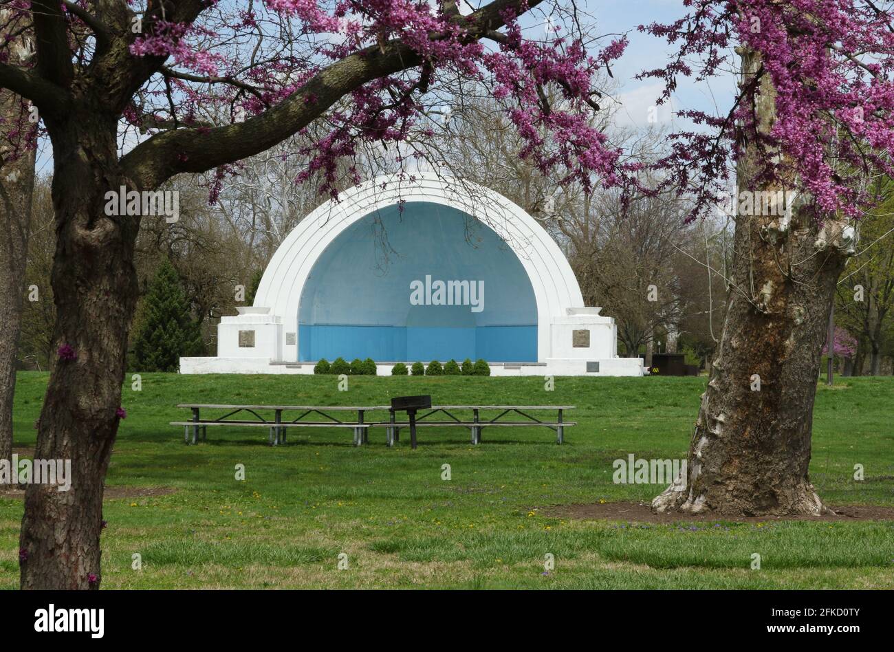 Bandshell in primavera. Primo piano Redbud albero ramo con fiori di primavera. Island Metropark, Dayton, Ohio, Stati Uniti. Foto Stock